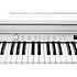 CUP-E1 WH White Kurzweil