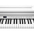 CUP-E1 WH White Kurzweil