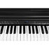 CUP-E1 BK Black Kurzweil