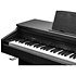 CUP-E1 BK Black Kurzweil