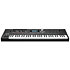 K2061 Kurzweil
