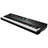 K2088 Kurzweil