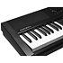 KaE1 LB Black Kurzweil