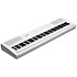 KaE1 WH White Kurzweil
