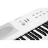 KaE1 WH White Kurzweil