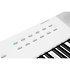 KaE1 WH White Kurzweil