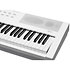 KaE1 WH White Kurzweil