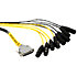 DigiSnake DB25/XLR mâle/femelle 3,6m AVID