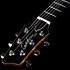 A6 Ultra Naturel SG gaucher + Housse Godin