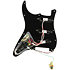 DG20 Kit Total Eclipse David Gilmour EMG