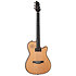A6 Ultra Deluxe Natural Godin