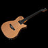 A6 Ultra Deluxe Natural Godin