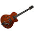 5th Avenue Uptown Custom Havana Burst Godin
