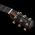 5th Avenue Uptown Custom Havana Burst Godin