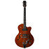 5th Avenue Uptown Custom Havana Burst Godin