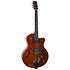 5th Avenue Uptown Custom Havana Burst Godin