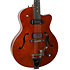 5th Avenue Uptown Custom Havana Burst Godin