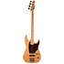 RG-4 Swamp Ash + Housse Godin
