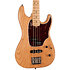 RG-4 Swamp Ash + Housse Godin