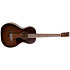 Roadhouse Bourbon Burst A/E Art et Lutherie
