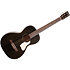 Roadhouse Faded Black A/E Art et Lutherie