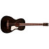Roadhouse Faded Black Parlor A/E Art et Lutherie