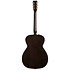 Roadhouse Faded Black Parlor A/E Art et Lutherie