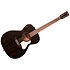 Legacy Faded Black CH Art et Lutherie