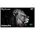 Cinema pro 65'' Sylvox