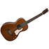 Roadhouse Havana Brown Q-Discrete Art et Lutherie