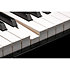 CUP G1W BP Kurzweil