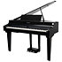 CUP G1W BP Kurzweil