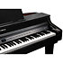 CUP G1W BP Kurzweil