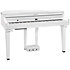 CUP G1W WHP Kurzweil