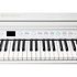 CUP G1W WHP Kurzweil