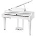 CUP G1W WHP Kurzweil