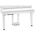 CUP G1W WHP Kurzweil