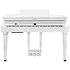 CUP G1W WHP Kurzweil