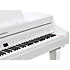 CUP G1W WHP Kurzweil