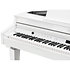 CUP G1W WHP Kurzweil