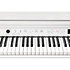 CUP G1W WHP Kurzweil
