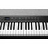 Bundle KA-P1 LB + ST-4 LB Kurzweil