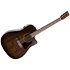 Americana Bourbon Burst CW Presys II Art et Lutherie