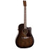 Americana Bourbon Burst CW Presys II Art et Lutherie