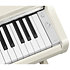 Arius YDP-166 White Birch Yamaha