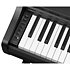 Arius YDP-166 Black Yamaha