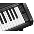 Arius YDP-166 Black Yamaha