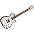 Radiator Bourbon Burst RN + Housse Godin