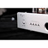 CS-100A KT88 Silver Cayin