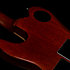 Radium-X Rustic Burst SG + Housse Godin